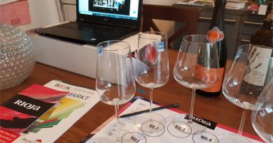 Rioja Mercados Internacionales cata vino