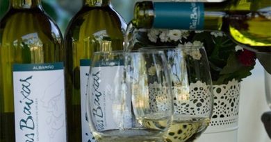 vinos de rías baixas premiados en los premios baco 2019