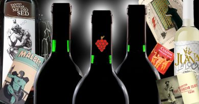 De tal etiqueta tal vino podría decirse ya que cuando un vino alcanza reconocimientos el envase que lo contiene ha de estar a la altura. Un gran diseño ayuda a consolidar la marca.