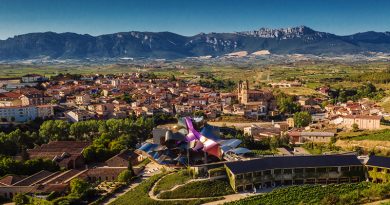 La Ciudad del Vino de Marqués de Riscal se encuentra en la localidad del Elcie, en Álava, España. En el epicentro de la DOCa Rioja del Vino. Rinde homenaje a la historia, a la tradición y al futuro del vino.