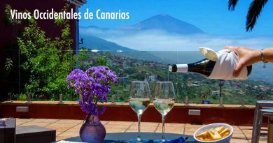 Vinos occidentales de Canarias están compuestos por las islas de la Proviencia de Tenerife. Los vinos de las cinco DO de Tenerife más las pertenecientes a cada una de las islas de La Palma, La Gomera y El Hierro