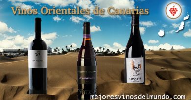 Los Vinos orientales de Canarias están pertenecen a las DO de Gran Canaria, Lanzarote y Fuerteventura. Vinos singulares, exclusivos y con personalidad reconocidos mundialmente.