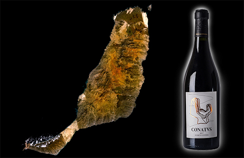 La isla de más antigua de Canarias también fue la primera en el cultivo de la vid allí por el S.XV. Sus vinos son un majoreros forman parte de de un patrimonio exclusivo a nivel mundial.