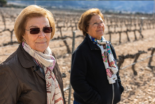 Las hermanas Gandía Micó son otro ejemplo de lucha por la prevalencia de la tradición."Trabajamos en el vino por ilusión y no por dinero. Nqueremos dejar que se pierda."
