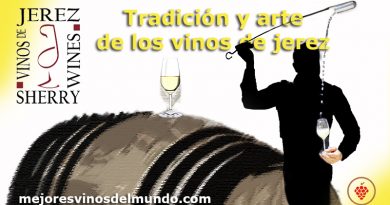 Tradición y arte de los vinos de jerez desde tiempos inmemorables porque ya desde los primeros siglos de nuestra era podemos encontrar el cultivo del vino en los campos de Jerez.