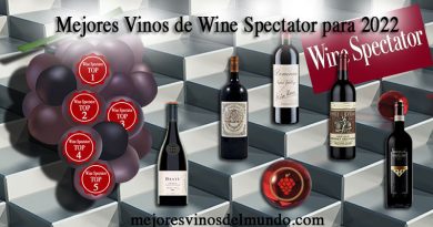 Los 5 Mejores Vinos del Mundo Según Wine Spectator para 2022 presentan características cambiantes en las tendencias sociales que los enólogos tratan de reunir en sus vinos.