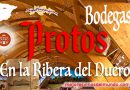 Protos en la Ribera del Duero desde 1927 simboliza la historia de un grupo de once personas que creyeron en sí mismos a través del trabajo, su tierra y la pasión por el buen vino.