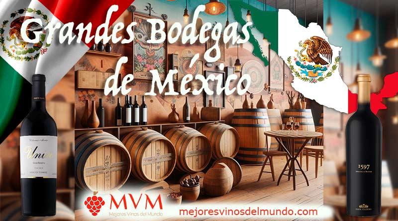 Grandes Bodegas de México son tanto Casa Madero como Santo Tomás. Ambas, entre otras muchas más, representan lo mejor del vino mexicano. Ancestral y moderno.